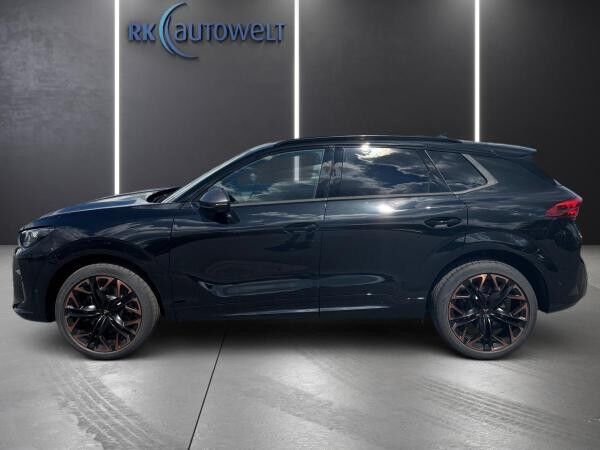 Cupra Terramar VZ 2.0 TSI AHK Pano Sennheiser 20"