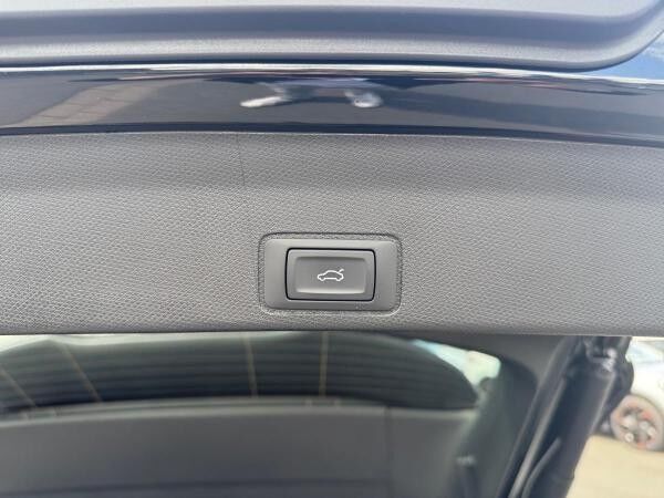 Cupra Terramar VZ 2.0 TSI AHK Pano Sennheiser 20"