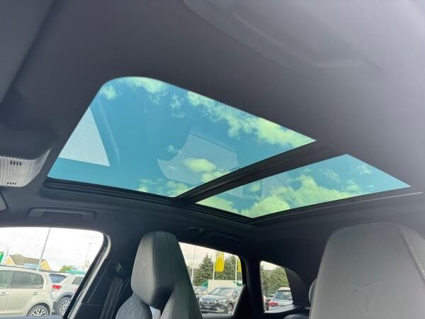 Cupra Terramar VZ 2.0 TSI AHK Pano Sennheiser 20"