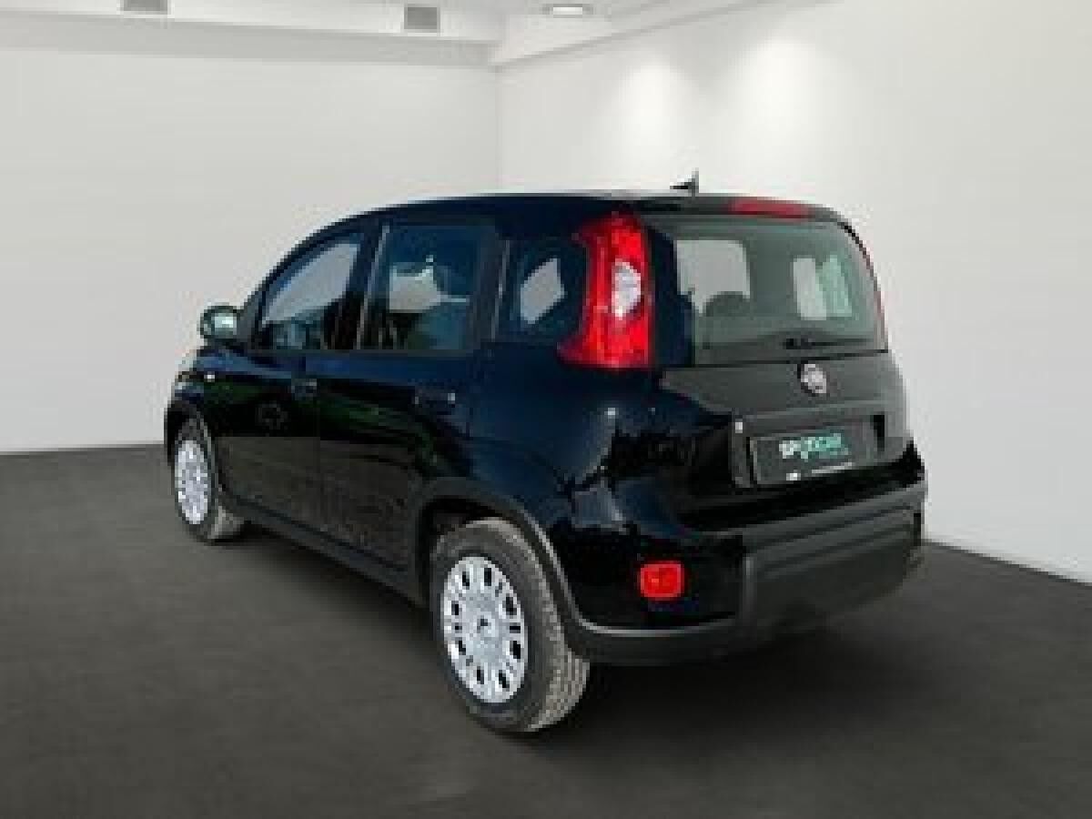 Fiat Panda 1.0 GSE Hybrid ***Sofort verfügbar