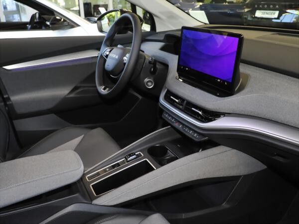 Skoda ENYAQ 60 *Matrix-LED NAVI AHK ACC*