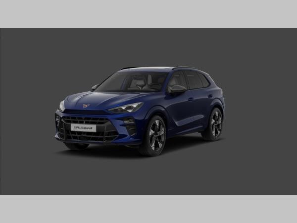 Cupra Terramar 2.0 TSI 4Dr. DSG +AHK+NAVI+PANOD+SENNHE