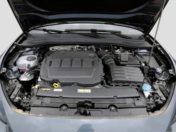 Seat Leon FR 2.0 TDI-7-Gang-DSG SAL