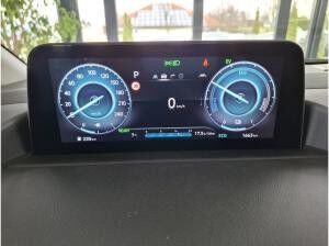 Hyundai STARIA 1.6 T-GDI HEV Trend + Park-Paket + Easy-Access-Paket + 18 Zoll