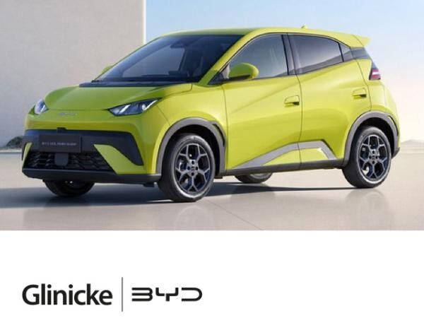 BYD DOLPHIN SURF Comfort*43,h*310KM*360Grad*310KM*360Grad