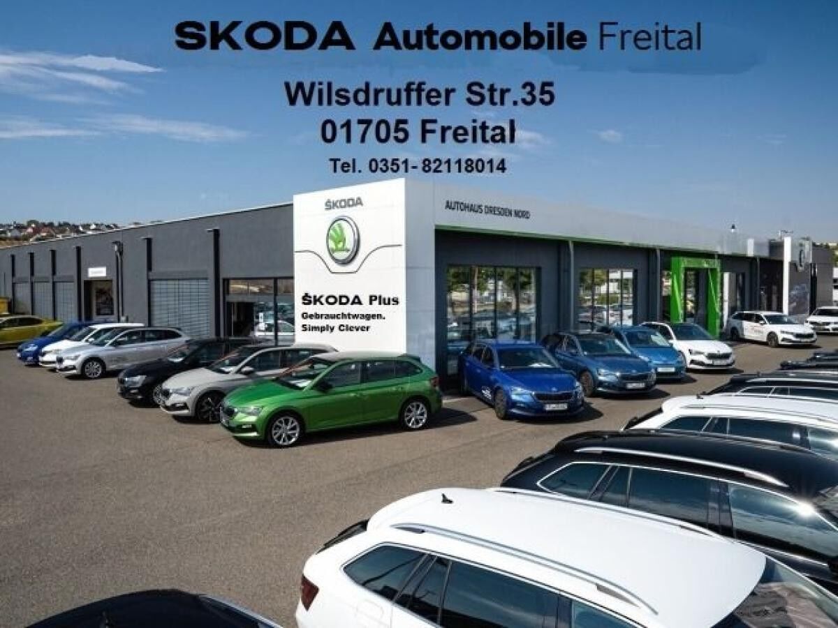 Skoda Fabia 1.0 TSI DSG DRIVE 116 PS *LENKRADHEIZUNG/ KAMERA / KLIMAAUTOMATIK**