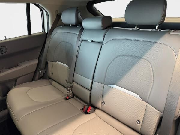 Kia EV3 h Earth ACC 360 SpurH LM KlimaA Leder