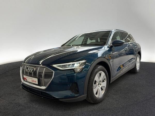 Audi e-tron 50 quattro Navi virtual DAB