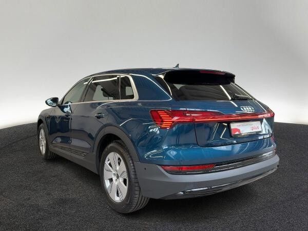 Audi e-tron 50 quattro Navi virtual DAB