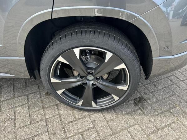 Cupra Ateca 1.5 TSI Fahrassistenz-Paket/ Beats Klima