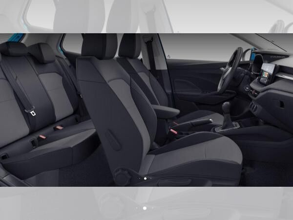 Skoda Fabia Selection 1.0 TSI DSG -Bestellfahrzeug-