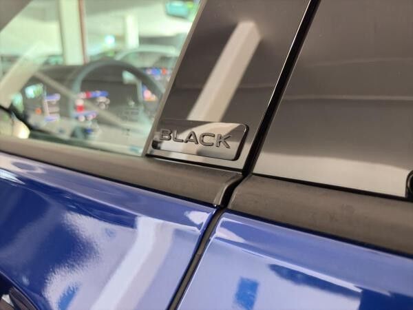 Volkswagen Golf VIII R BLACK EDITION 2.0 TSI 4MOTION