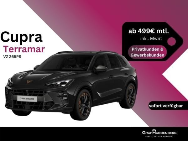 Cupra Terramar VZ 2.0 TSI 265PS *sofort verfügbar*