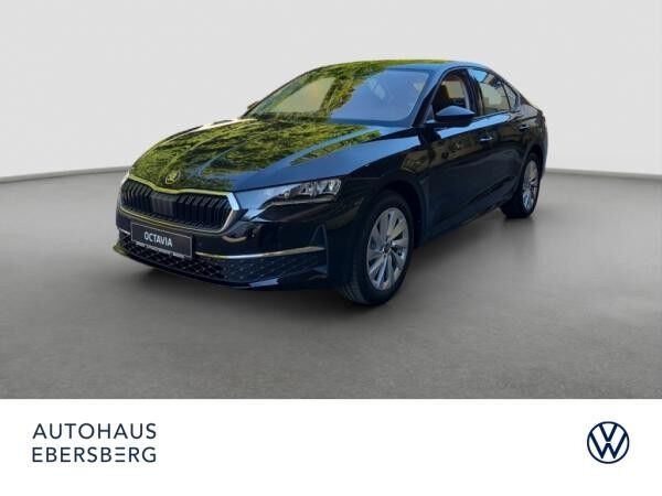 Skoda Octavia 2.0 TSI 4x4 DSG Assist Winter