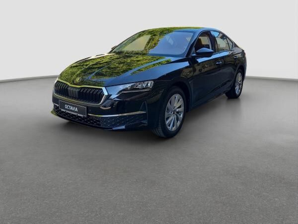 Skoda Octavia 2.0 TSI 4x4 DSG Assist Winter