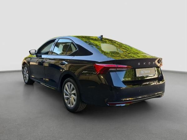 Skoda Octavia 2.0 TSI 4x4 DSG Assist Winter