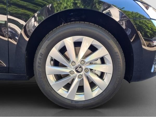 Skoda Octavia 2.0 TSI 4x4 DSG Assist Winter