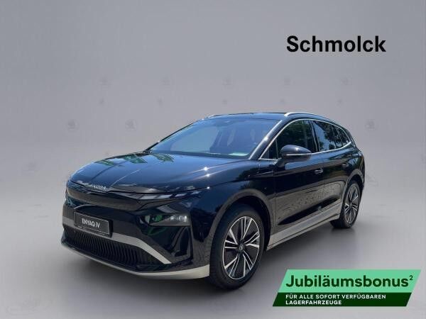 Skoda ENYAQ 60 PLUS AHK WINTER NAVI LED DAB PDC RFK