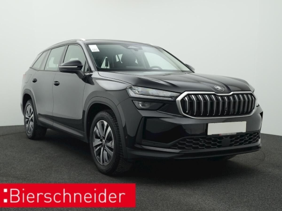 Skoda Kodiaq 2.0 TDI DSG 4x4 Selection AHK NAVI LED