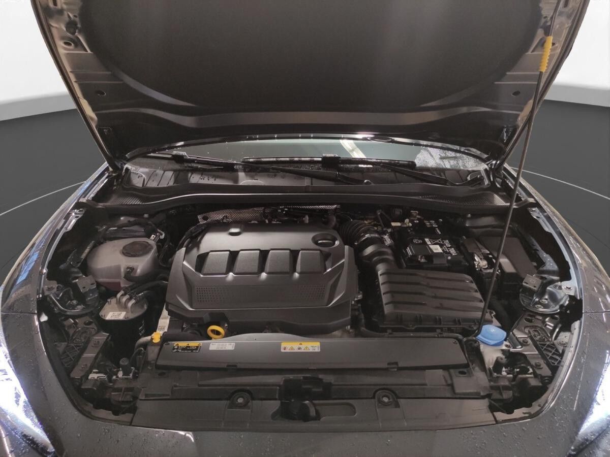 Seat Leon 2.0 TDI DSG FR Navi LED Dynamic-Paket