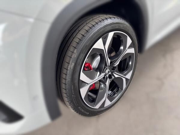 Skoda Kodiaq 2.0 TSI DSG RS 4x4 +ACC+BHZFS+360°+PANO+NAVI