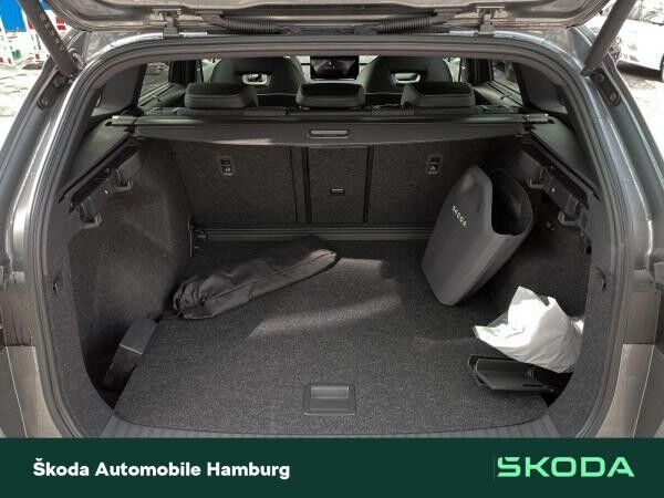 Skoda ENYAQ RS 4x4 _LGE