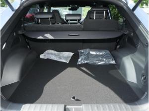 Hyundai IONIQ 5 Ioniq 5 PERFORMANCE SITZ-PAKET NAVI CAM SHZ LHZ