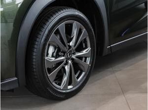 Lexus UX-300h F Sport Design NAVI SHZ PDC KLIMA "Sofort Lieferbar"