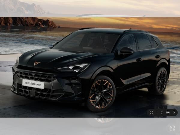 Cupra Terramar VZ 2.0 TSI 265 PS- sofort Verfügbar!