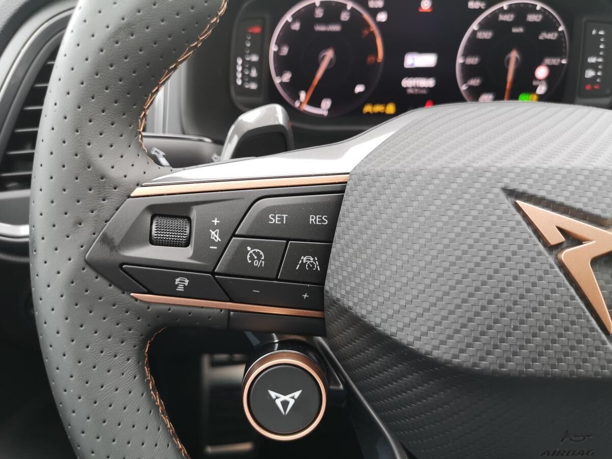 Cupra Ateca 2.0TSI DSG 4Drive 190PS 360° AHK Schiebedach