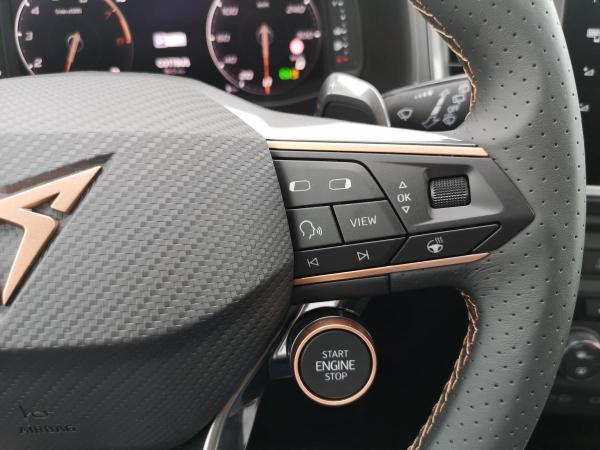 Cupra Ateca 2.0TSI DSG 4Drive 190PS 360° AHK Schiebedach