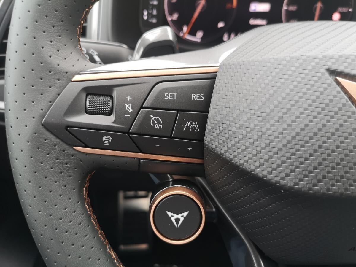 Cupra Ateca 2.0TSI DSG 4Drive 190PS Schiebedach AHK TopView