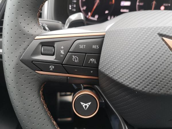 Cupra Ateca 2.0TSI DSG 4Drive 190PS Schiebedach AHK TopView