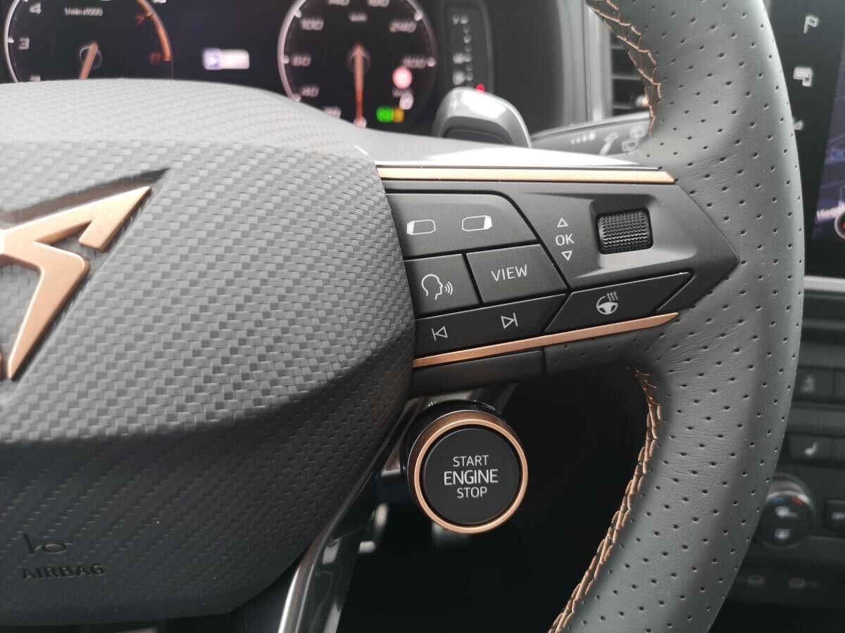 Cupra Ateca 2.0TSI DSG 4Drive 190PS Schiebedach AHK TopView