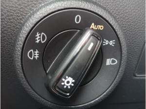 Cupra Ateca 2.0TSI DSG 4Drive 190PS Schiebedach AHK TopView