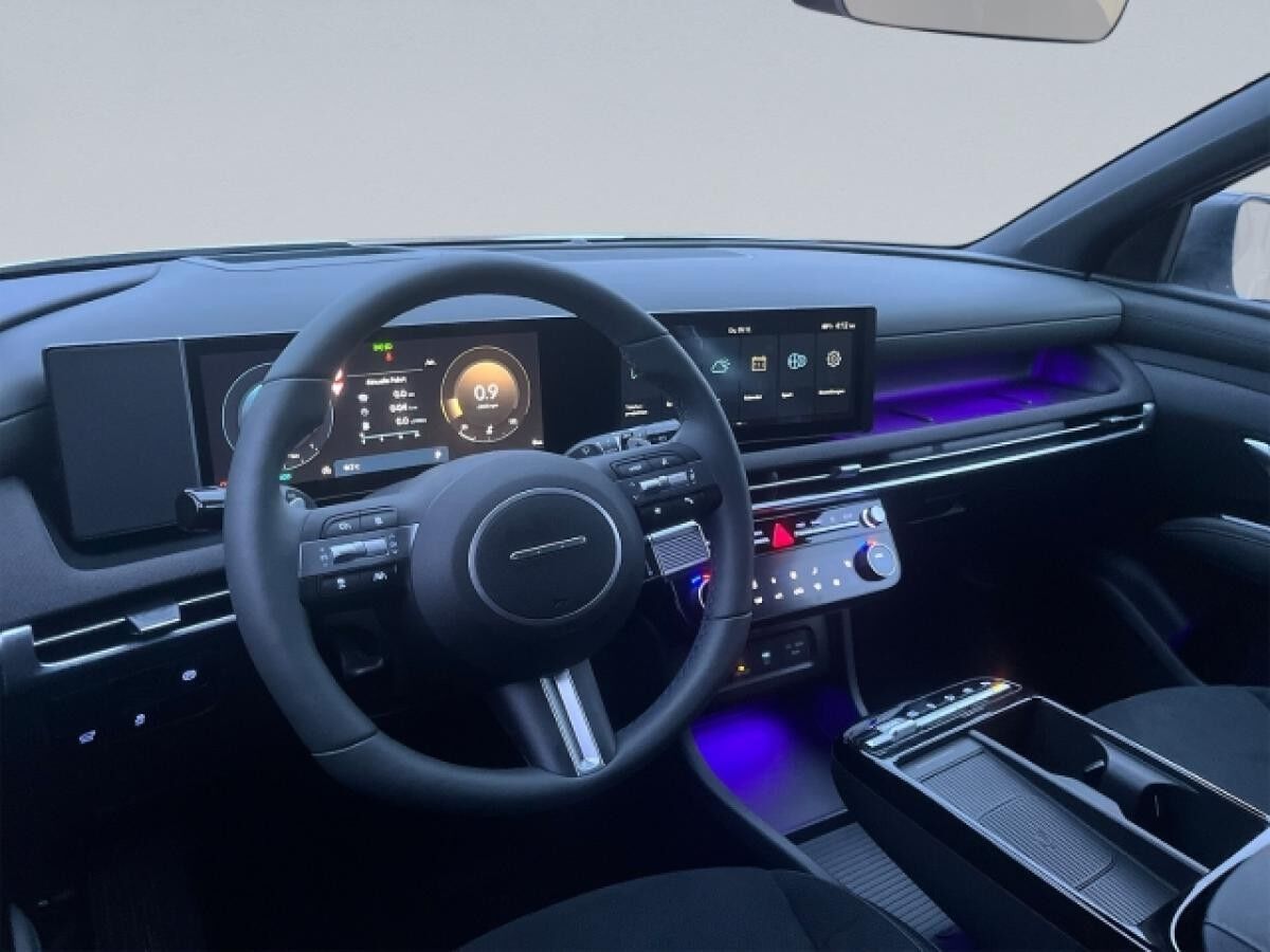 Hyundai TUCSON Automatik 360° Krell Head Up Navi Tempo