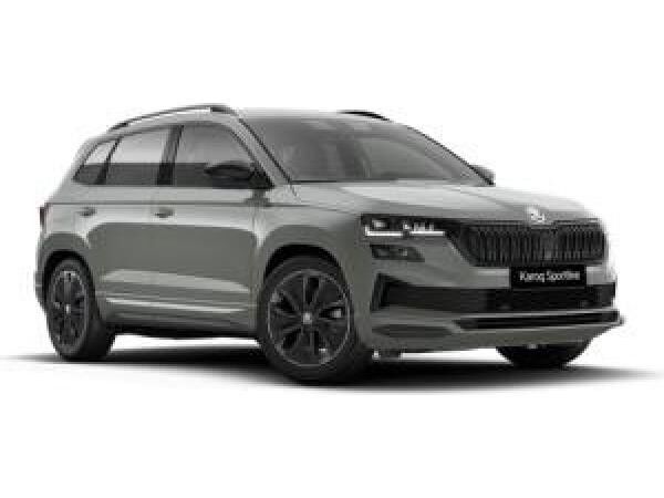 Skoda Karoq 2.0 TSI 4x4 DSG Matrix LED