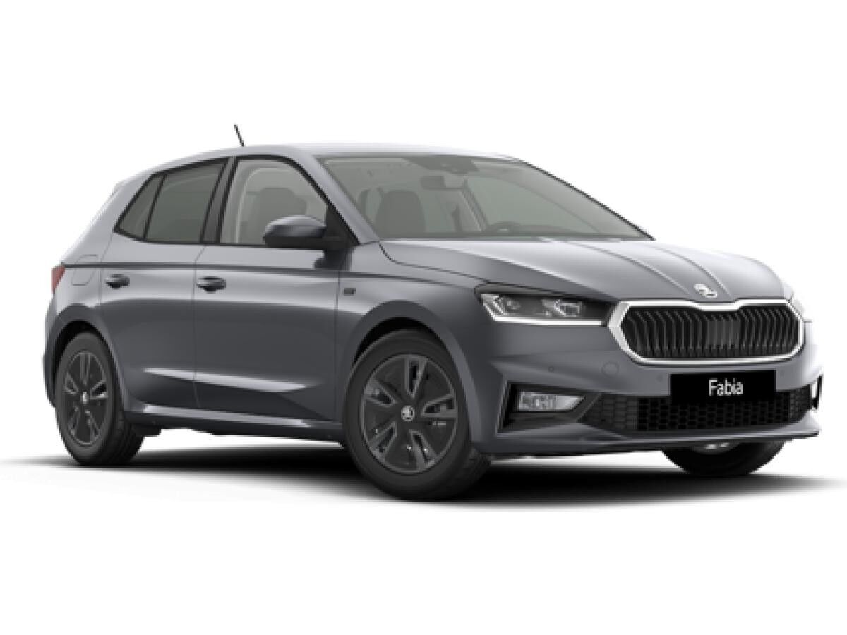 Skoda Fabia Tour 1,0 TSI *Sofort Verfügbar*