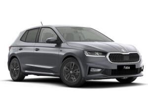 Skoda Fabia Tour 1,0 TSI *Sofort Verfügbar*
