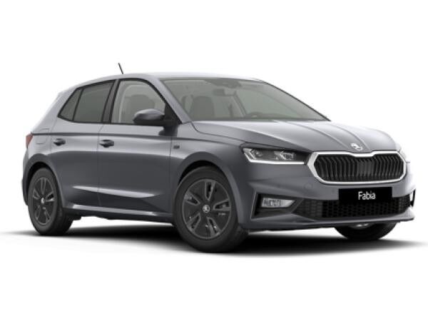 Skoda Fabia Tour 1,0 TSI *Sofort Verfügbar*
