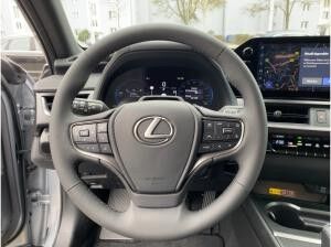 Lexus UX-300h ❤️💥F Sport Design❤️💥