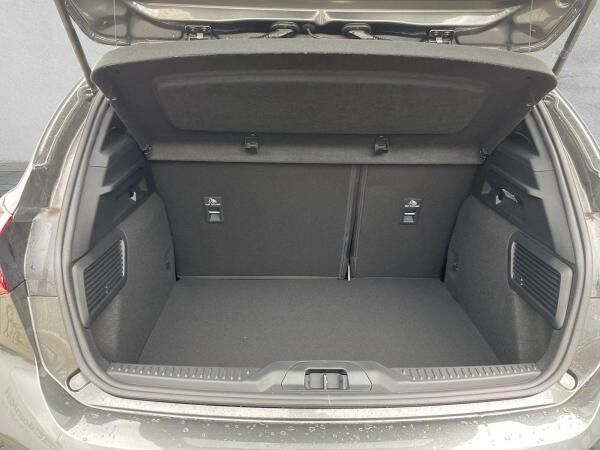 Ford Focus Focus ST-Line / 125 PS / LED / RFK / HEZ / sofort Verfügbar