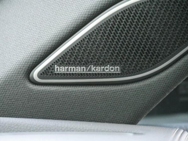 Volkswagen Tiguan R-Line 1,5 l eTSI Pano Standh. Harman Kardon