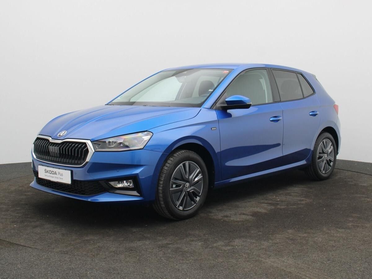 Skoda Fabia Selection 1.0 TSI /LED, Tempomat, RFK, SHZ