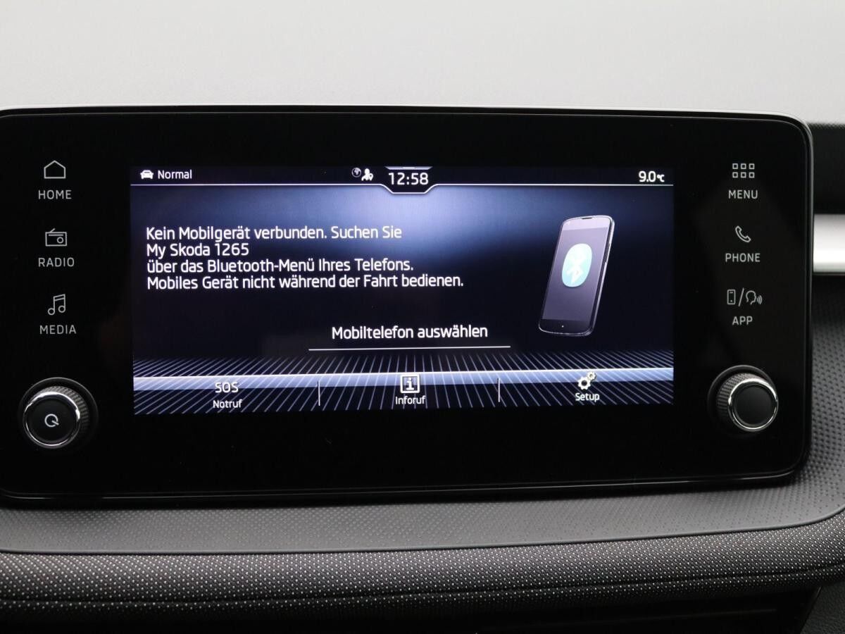 Skoda Fabia Selection 1.0 TSI/ LED, RFK, SHZ, Tempomat