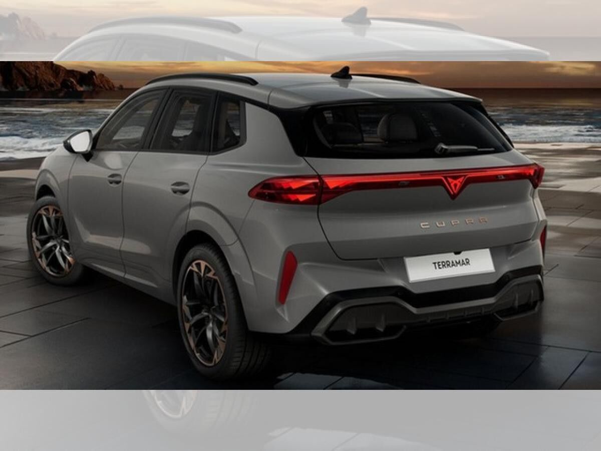 Cupra Terramar VZ 2.0 TSI 4Drive ABGABE 04.2026