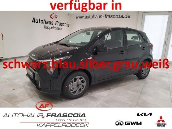Kia Picanto 1.2 MT Vision in schwarz, blau, siler, grau, weiß