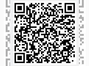 Volkswagen T-Roc R 2.0 TSI 4MOTION 300 PS DSG R-PERFORMANCE