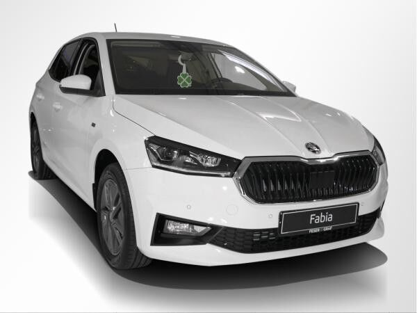 Skoda Fabia 1.0 TSI Tour Kessy RüKa Smart Link Sitzh.