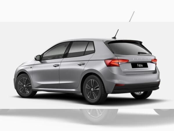 Skoda Fabia Tour 1.0 TSI DSG Fahrassi Winter